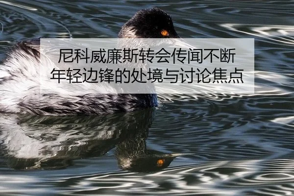 尼科威廉斯转会传闻不断 年轻边锋的处境与讨论焦点